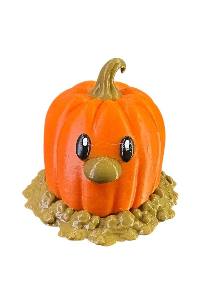 PUMPKIN DIGLET CALABAZA 3D BAMBU
