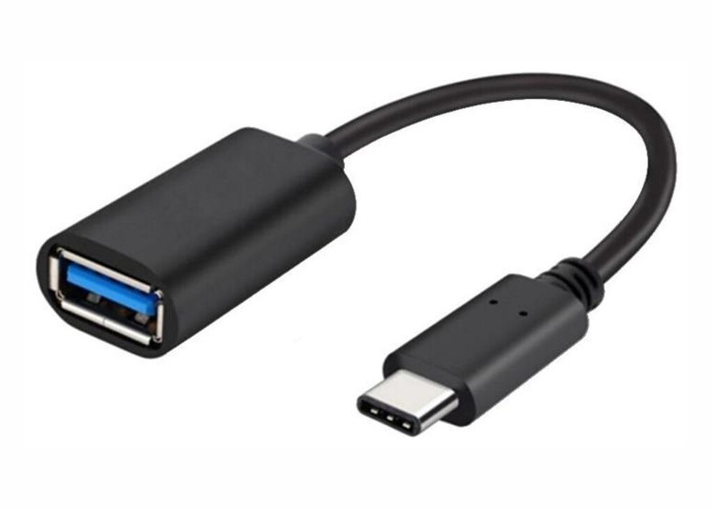 EVERTEC CABLE OTG GEN2 USB C 3.1 MACHO A USB HEMBRA 0,15 METROS